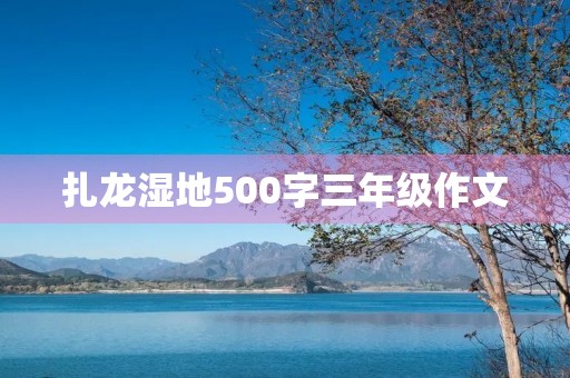 扎龙湿地500字三年级作文