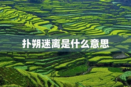 扑朔迷离是什么意思 扑朔迷离是什么意思