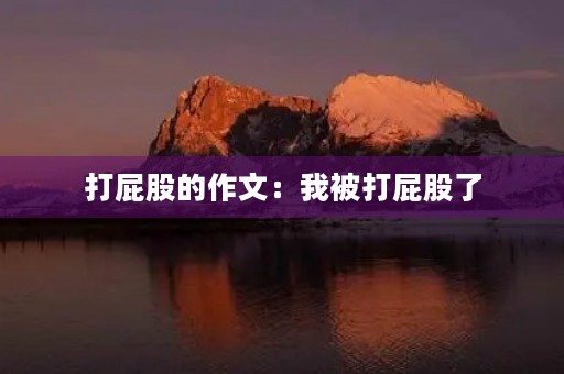 打**的作文：我被打**了