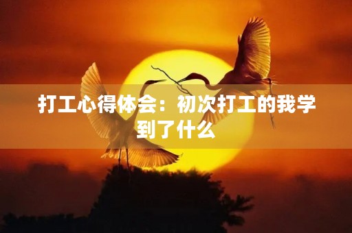 打工心得体会：初次打工的我学到了什么