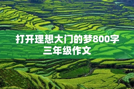 打开理想大门的梦800字三年级作文