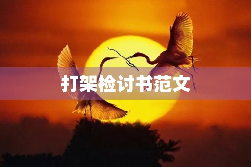 打架检讨书范文 打架检讨书范文
