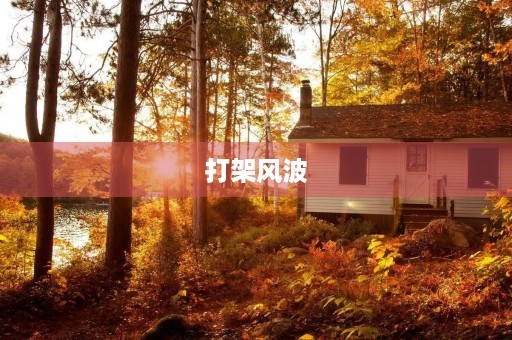 打架风波 打架风波