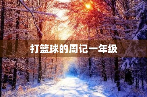 打篮球的周记一年级 打篮球的周记一年级