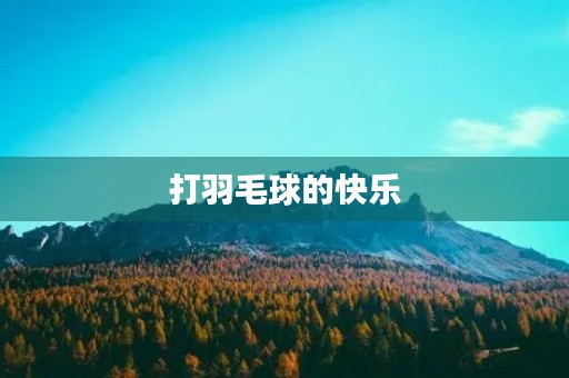 打羽毛球的快乐