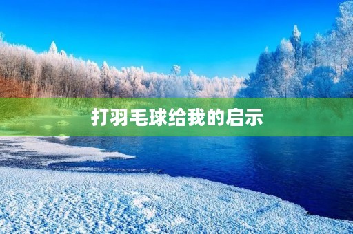 打羽毛球给我的启示