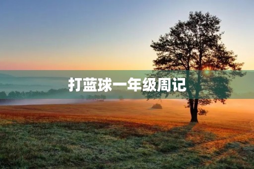 打蓝球一年级周记 打蓝球一年级周记
