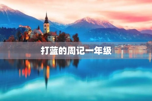 打蓝的周记一年级