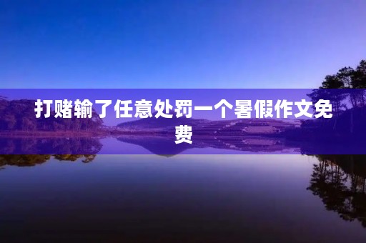 打赌输了任意处罚一个暑假作文免费