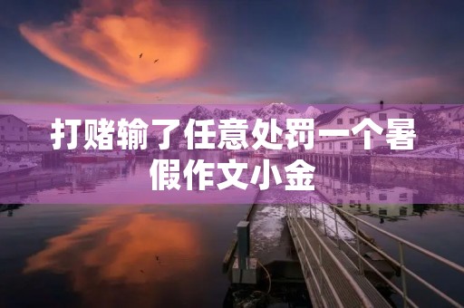 打赌输了任意处罚一个暑假作文小金