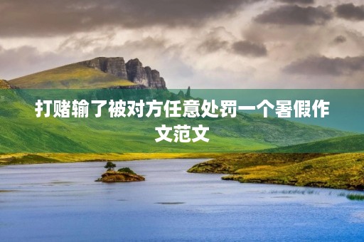 打赌输了被对方任意处罚一个暑假作文范文