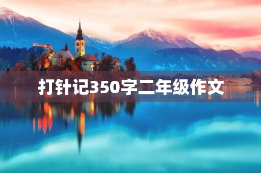 **记350字二年级作文