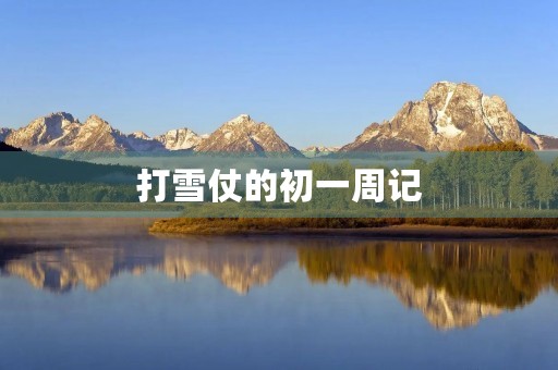 打雪仗的初一周记