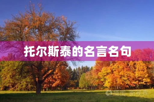 托尔斯泰的名言名句(最经典的)？托尔斯泰名言大全