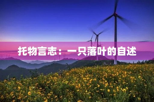 托物言志:一只落叶的自述 托物言志:一只落叶的自述