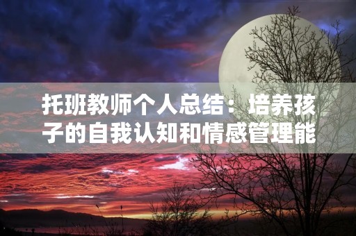 托班教师个人总结:培养孩子的自我认知和情感管理能力