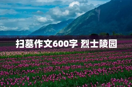 扫墓作文600字 烈士陵园