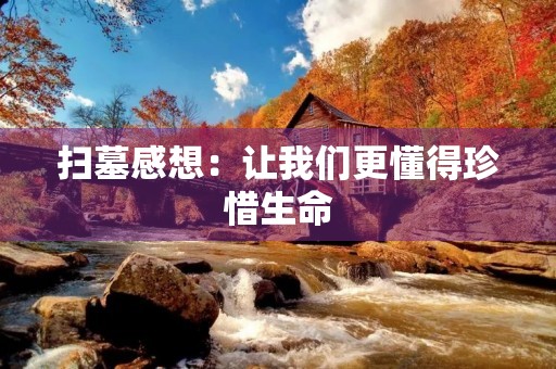 扫墓感想：让我们更懂得珍惜生命