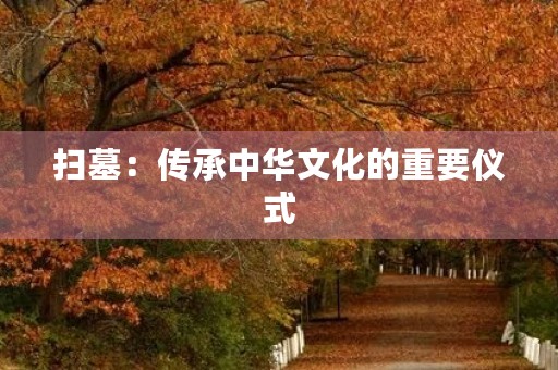 扫墓:传承中华文化的重要仪式 扫墓:传承中华文化的重要仪式