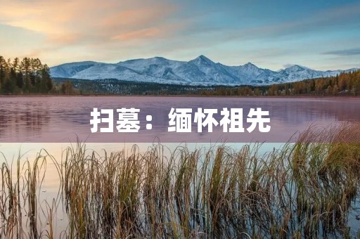 扫墓:缅怀祖先,传承文化 扫墓:缅怀祖先,传承文化