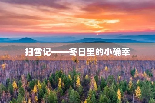 扫雪记——冬日里的小确幸