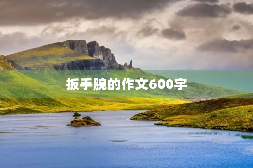 扳手腕的作文600字 扳手腕的作文600字