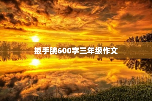 扳手腕600字三年级作文 扳手腕600字三年级作文