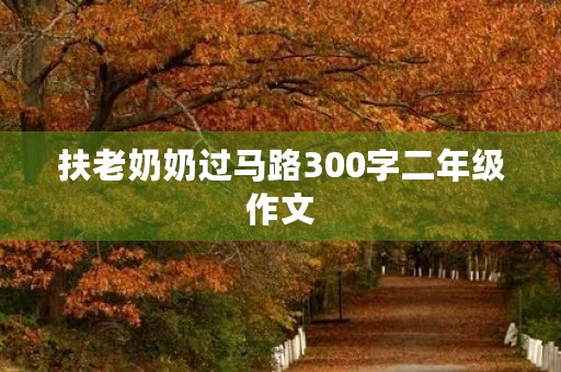 扶老奶奶过马路300字二年级作文