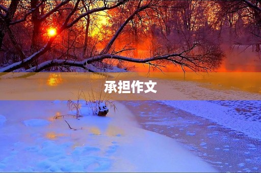 承担作文 承担作文