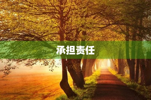 承担责任,成就自我 承担责任,成就自我