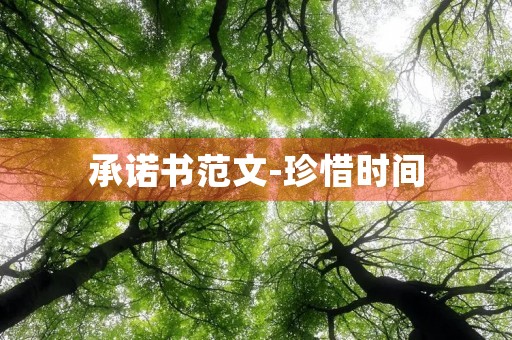 承诺书范文-珍惜时间，追求梦想