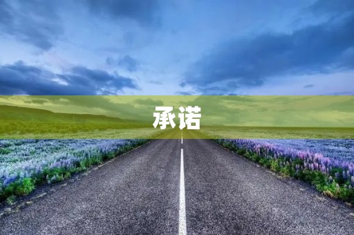 承诺 承诺