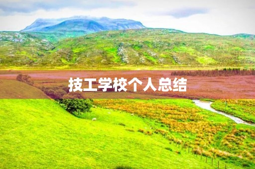 技工学校个人总结