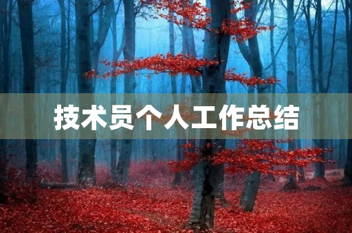 技术员个人工作总结