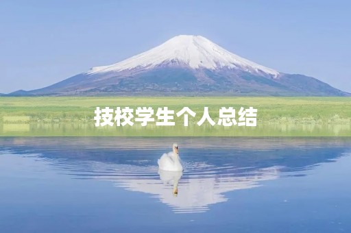 技校学生个人总结