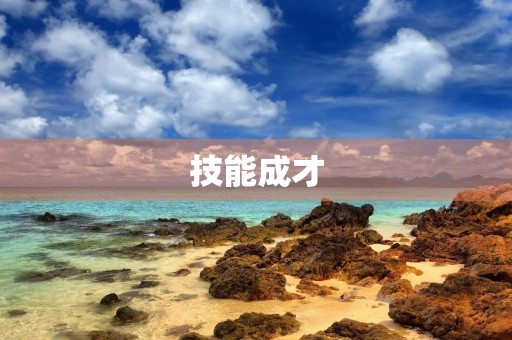 技能成才，技能报国——观后感
