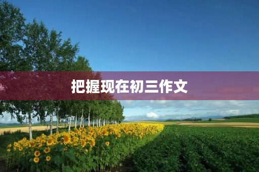 把握现在初三作文 把握现在初三作文