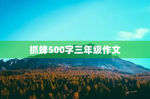 抓蝉500字三年级作文