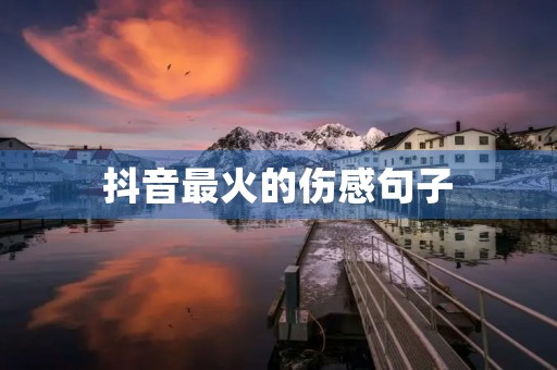 抖音最火的伤感句子，抖音最火的伤感句子心累的话