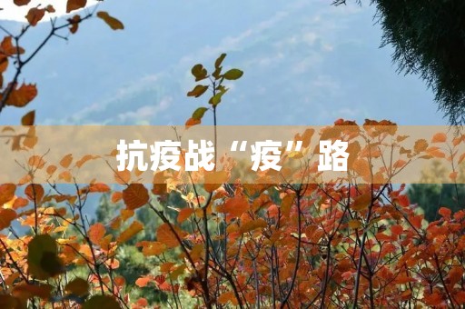 抗疫战“疫”路，初三学生的见闻