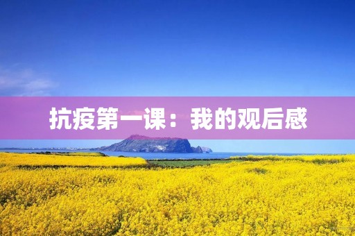 抗疫第一课:我的观后感 抗疫第一课:我的观后感