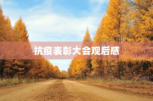 抗疫表彰大会观后感