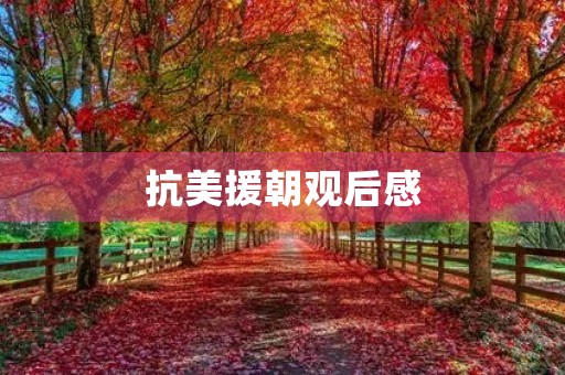 抗美援朝观后感