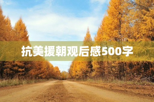 抗美援朝观后感500字