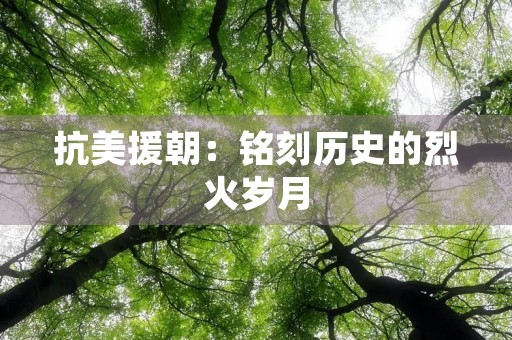 抗美援朝:铭刻历史的烈火岁月 抗美援朝:铭刻历史的烈火岁月