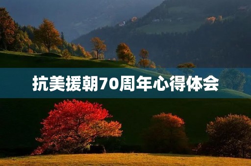 抗美援朝70周年心得体会