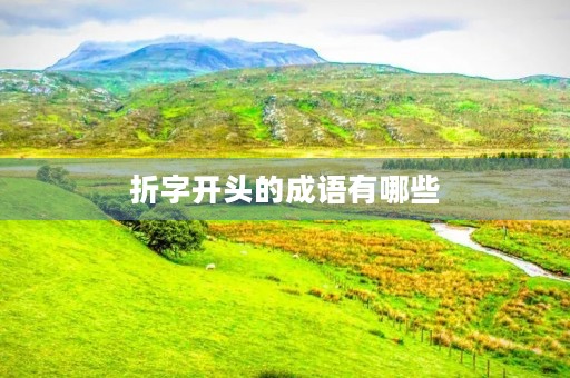 折字开头的成语有哪些