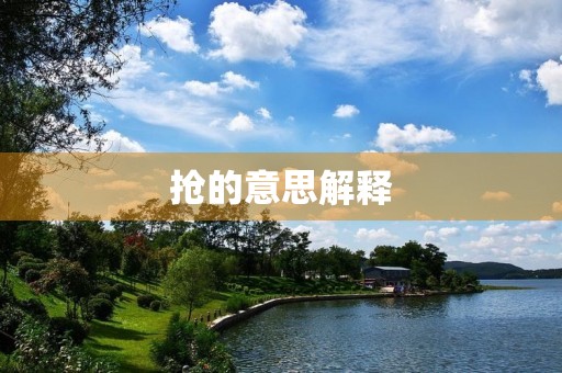 抢的意思解释(抢的组词)