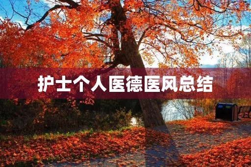 护士个人医德医风总结