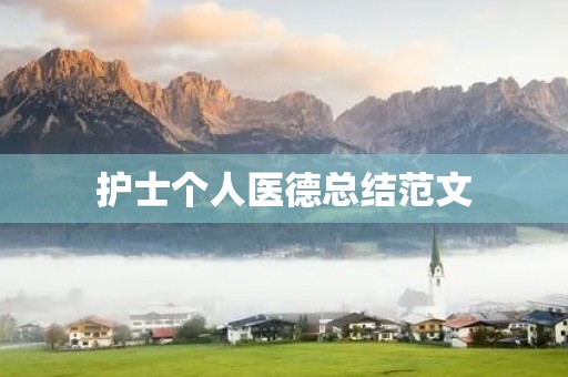 护士个人医德总结范文